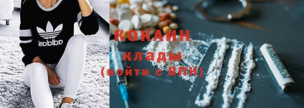 соль ск Абаза