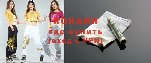 соль ск Абаза
