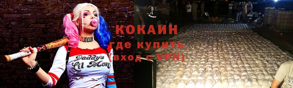 соль ск Абаза