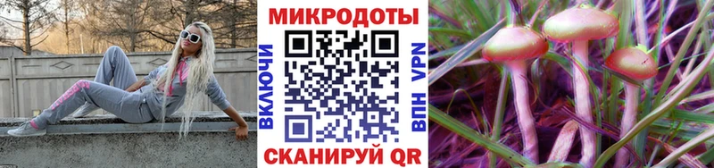 hydra   Энгельс  Псилоцибиновые грибы MAGIC MUSHROOMS 